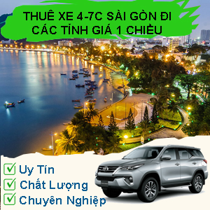 xe đi vũng tàu